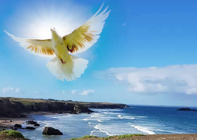 pentecote-quiberon